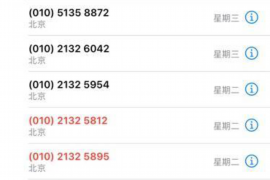 新源专业讨债公司有哪些核心服务？